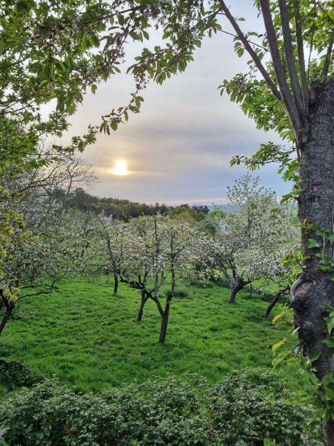 Casa Pro Pantea Villa Monforte De Lemos Buitenkant foto
