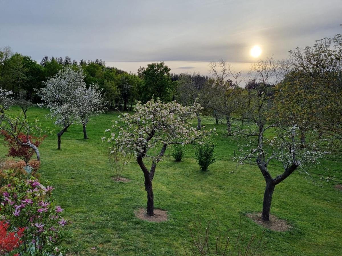 Casa Pro Pantea Villa Monforte De Lemos Buitenkant foto